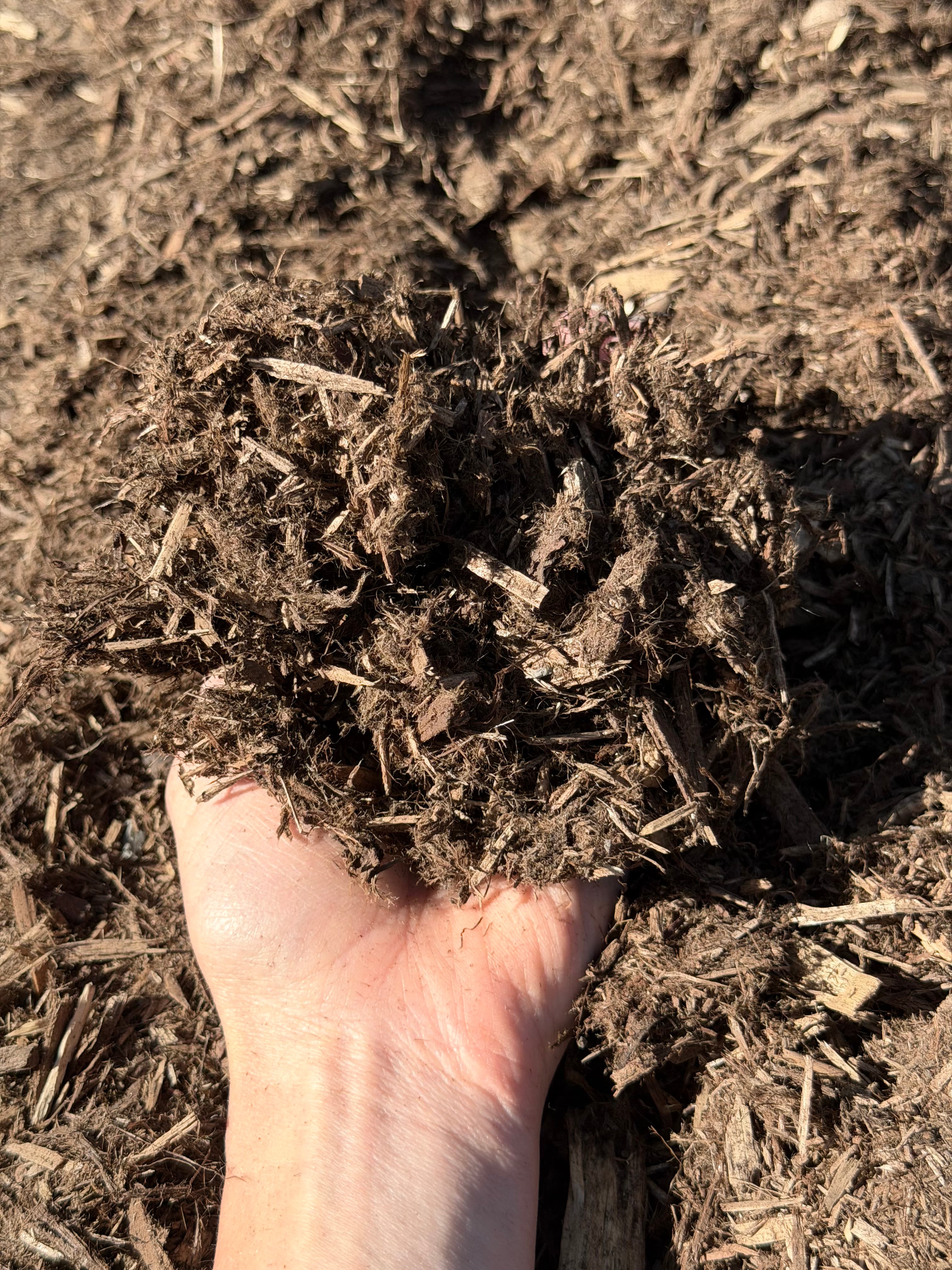 Fresh Western Red Cedar mulch spread in a landscape bed, showing finished color and texture, Durango, Colorado