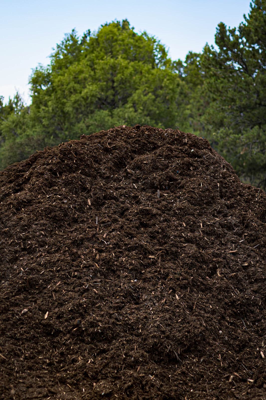 Loose Western Red Cedar mulch for sale by the cubic yard among the junipers in Durango, Colorado
