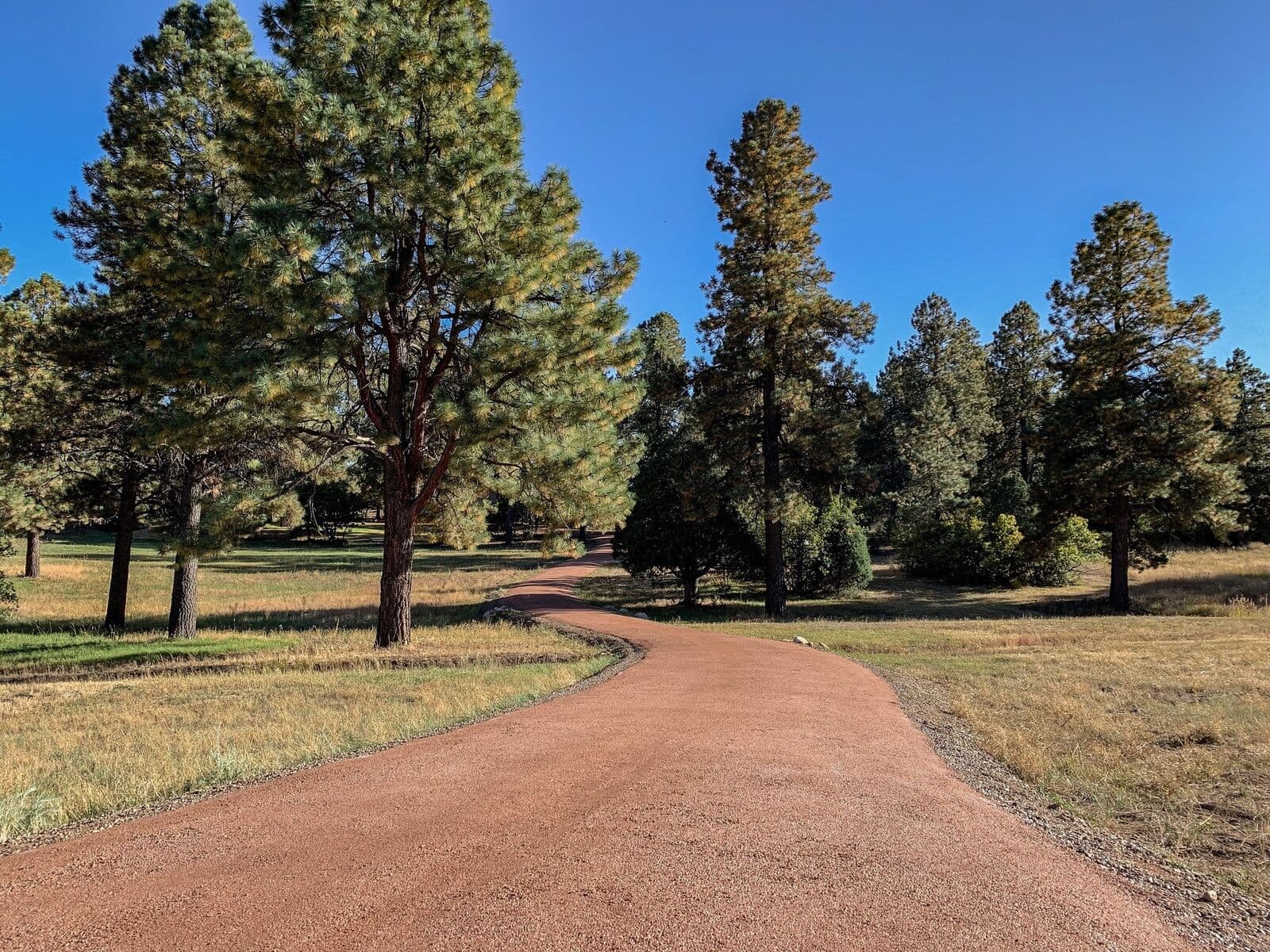 Curved red gravel driveway through ponderosa pines in Durango